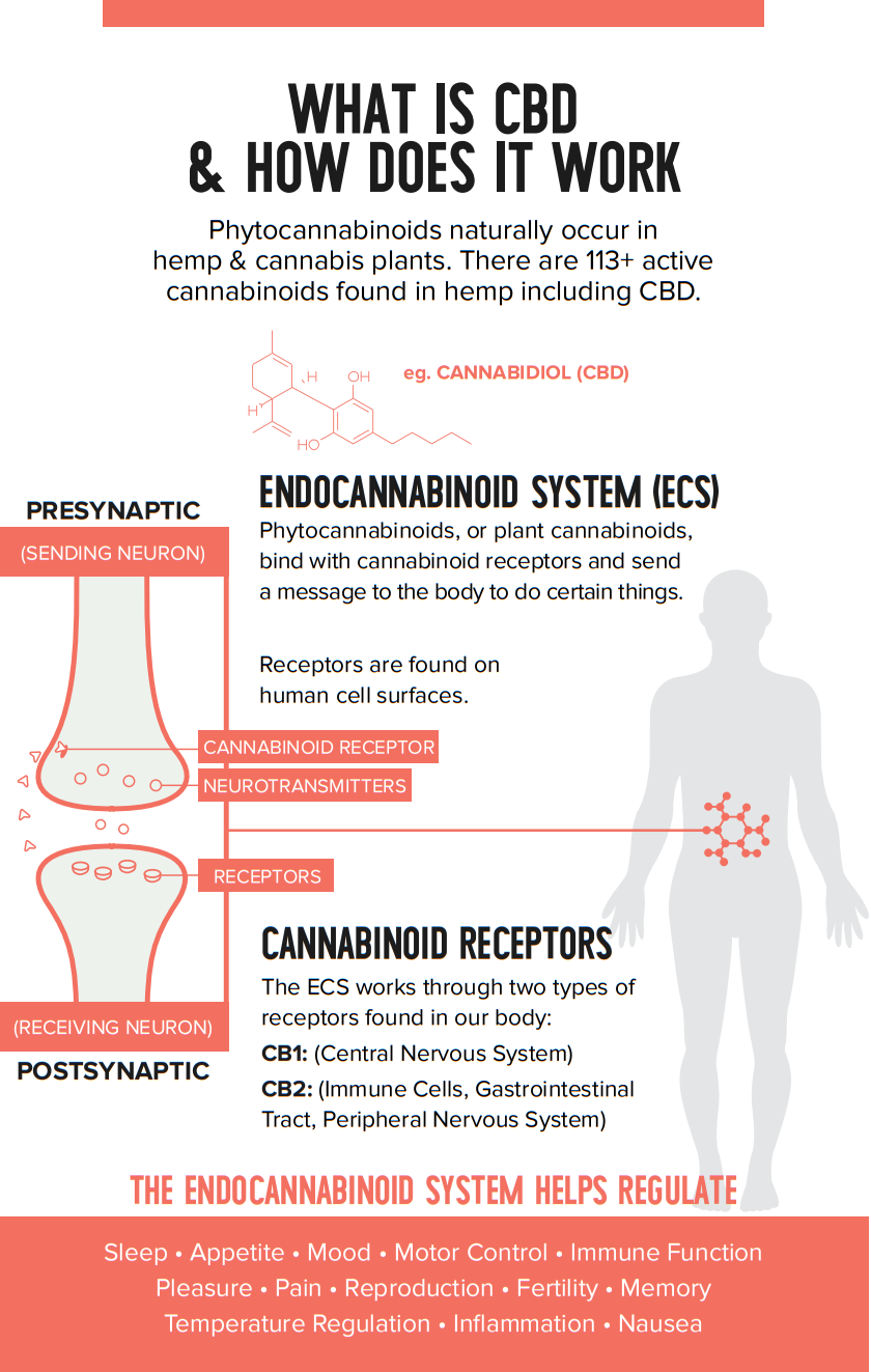 what_is_cbd_and_how_does_it_work.png